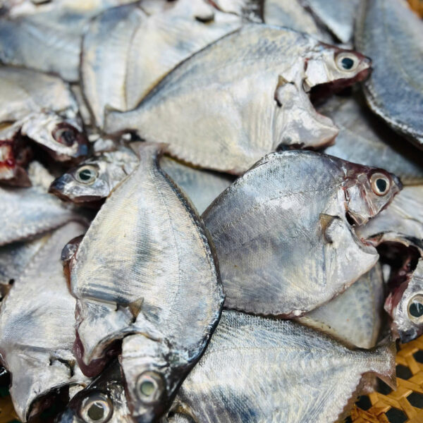 Cá liệt bạn (size 6-8con)