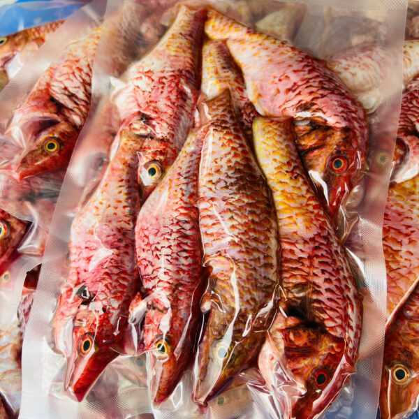 Cá phèn râu đỏ