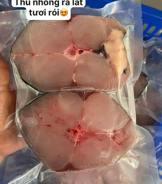 Cá thu nhồng lát (size 7-10kg/con)